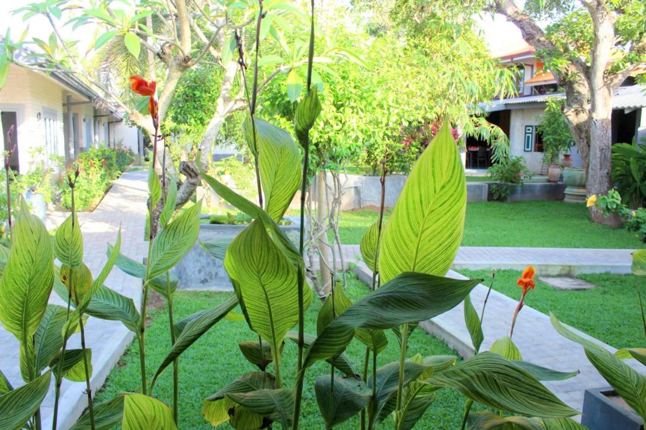 Morning Star Resorts Negombo Exterior photo